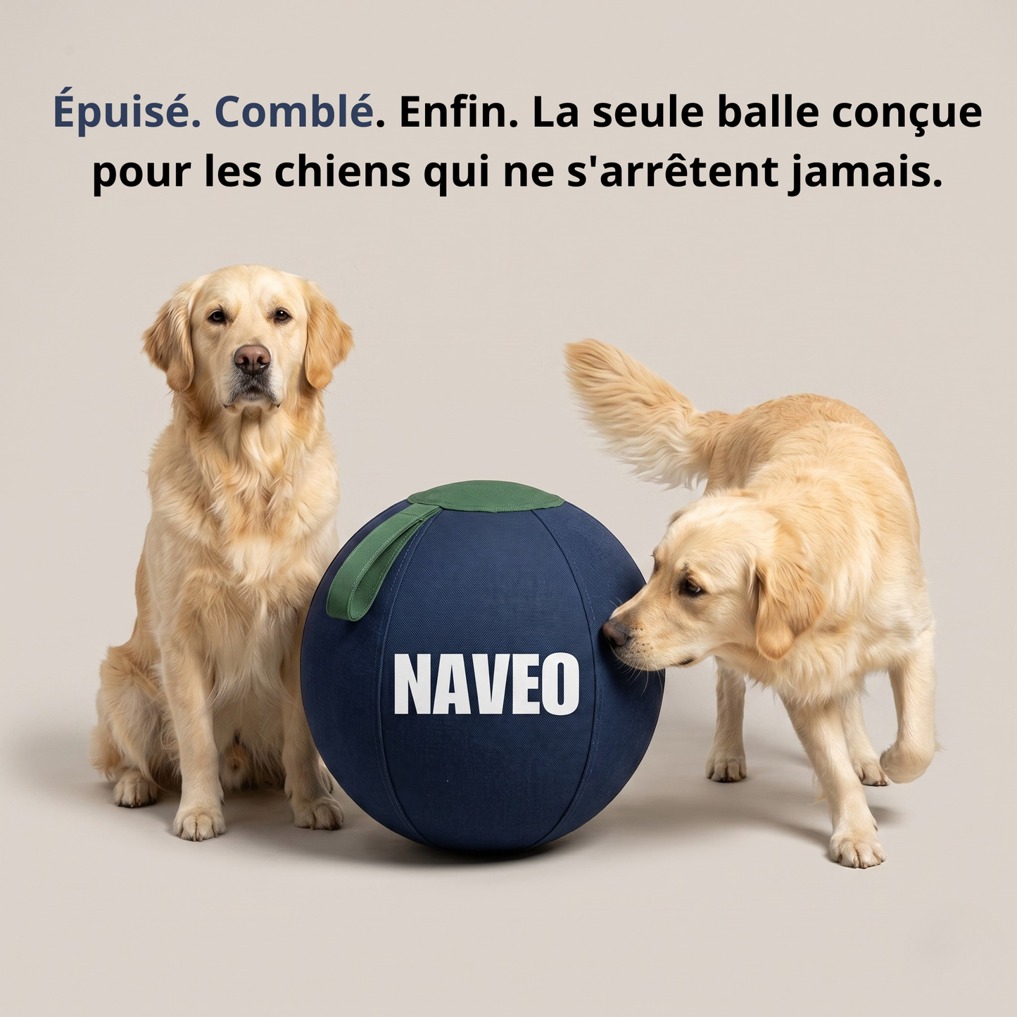 La seule balle qui gagne contre votre chien.