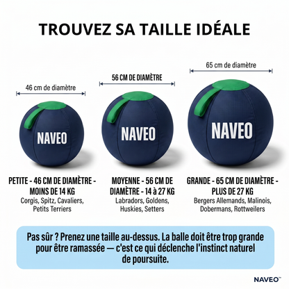 La seule balle qui gagne contre votre chien.