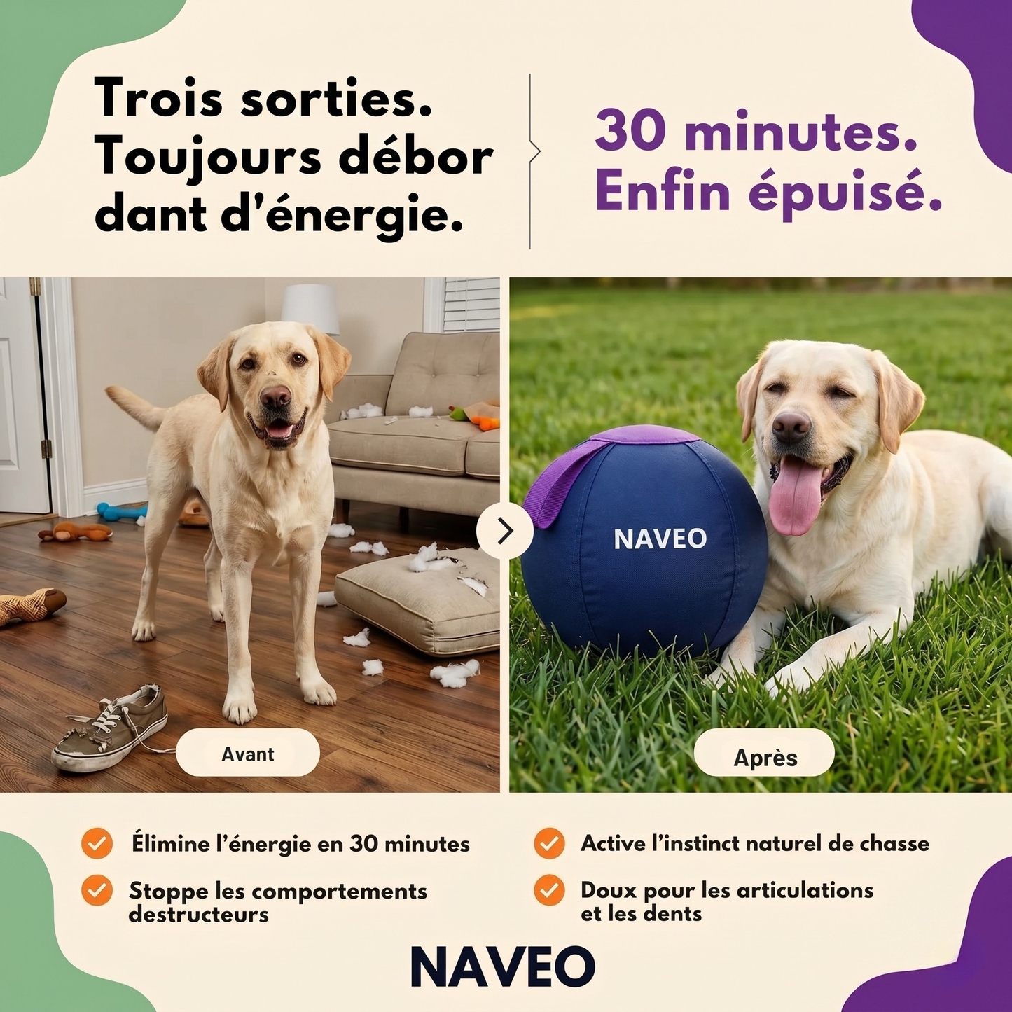La seule balle qui gagne contre votre chien.