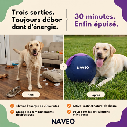 La seule balle qui gagne contre votre chien.