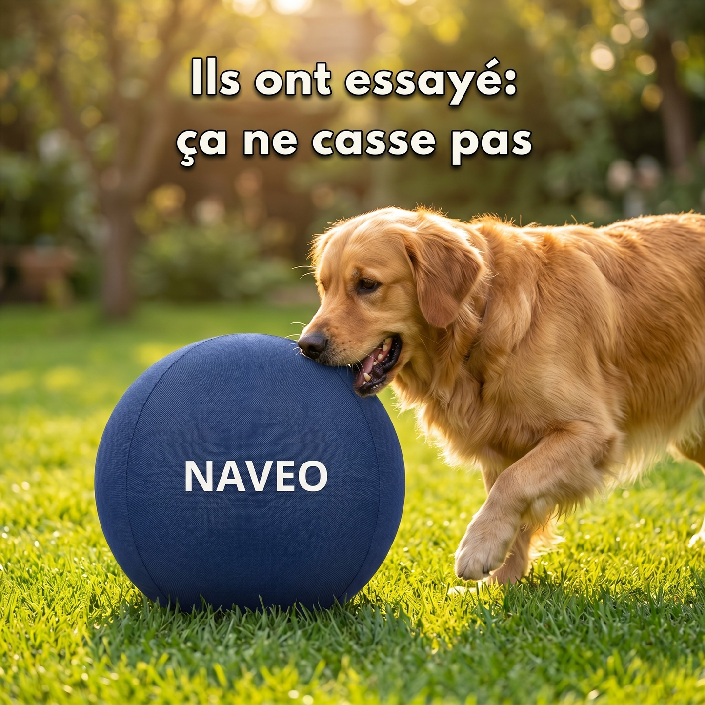 La seule balle qui gagne contre votre chien.