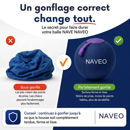 La seule balle qui gagne contre votre chien.